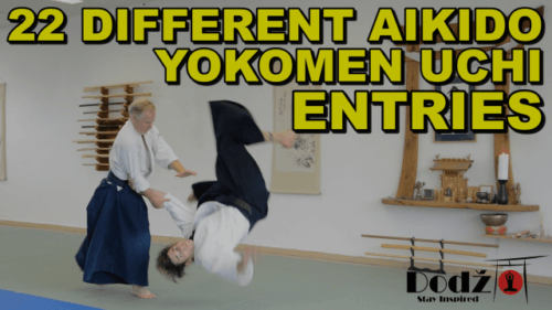 aikido-yokomenuchi