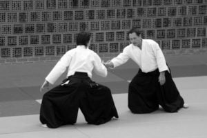 aikido-poznan-staz-christian-tissier-paryz-2011-06