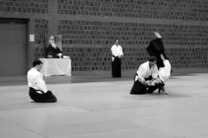 aikido-poznan-staz-christian-tissier-paryz-2011-23