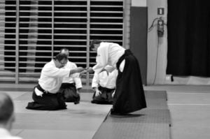 aikido-poznan-staz-christian-tissier-poznan-2011-11