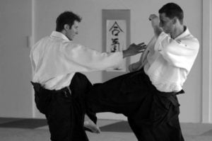 aikido-poznan-staz-pascal-guillemin-berlin-2010-16