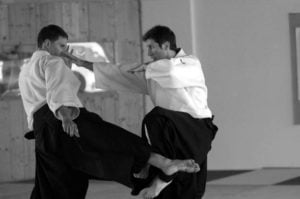 aikido-poznan-staz-pascal-guillemin-berlin-2010-17