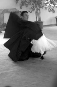aikido-poznan-staz-pascal-norbelly-drezno-2008-04