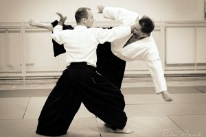 aikido-poznan-letnia-szkola-aikido-zlotow-2018-69